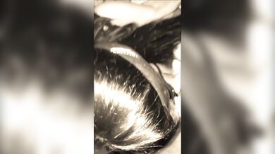 Si elle pouvais elle l'avalerais toute entière ! If she could she would swallow it whole!