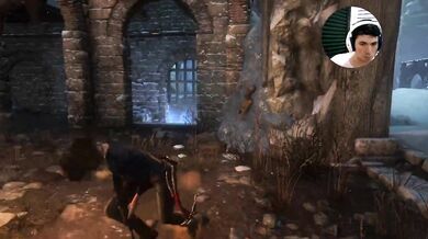 lara en busca de kitej