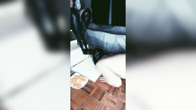 教育狗狗如何进食